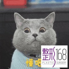 ͼ